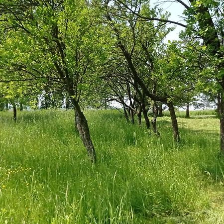 Oaza Milosci Lipinki  外观 照片