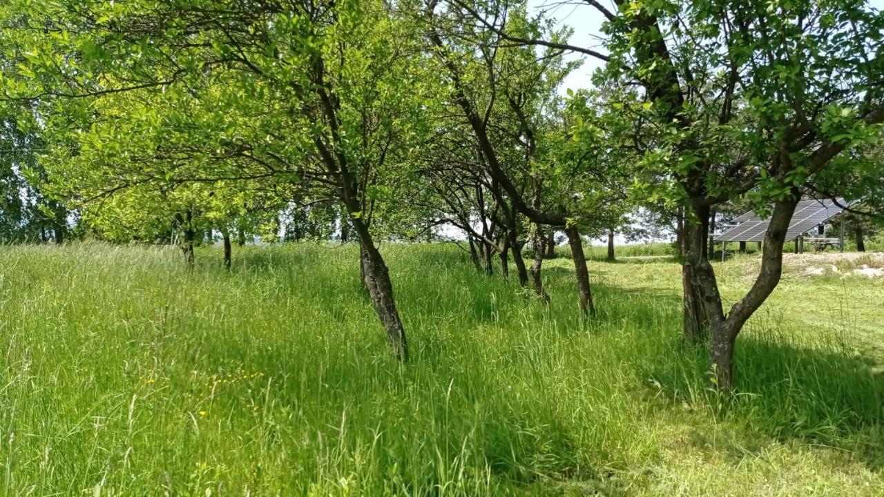 Oaza Milosci Lipinki  外观 照片